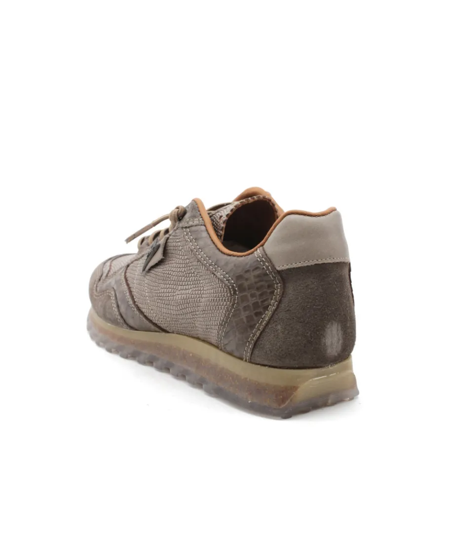 Cheap L'Empreinte Chaussures CETTI C848 SRA ANTE TEJUS taupe
