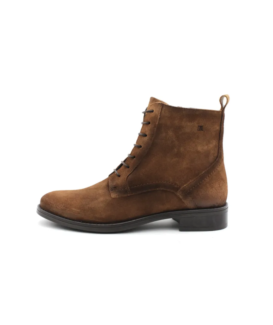 Fashion L'Empreinte Chaussures DORKING D8343 HARVARD marron