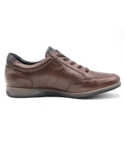 Store L'Empreinte Chaussures FLUCHOS F1280 DANIEL marron