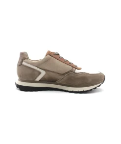 Fashion L'Empreinte Chaussures GABOR 56.378.55 taupe