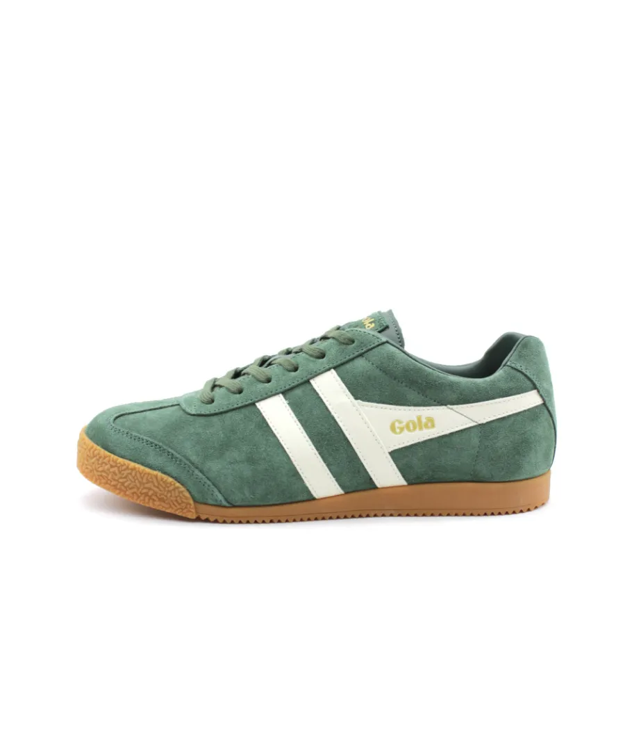 Shop L'Empreinte Chaussures GOLA HARRIER SUEDE EVERGREEN OFF WHITE vert