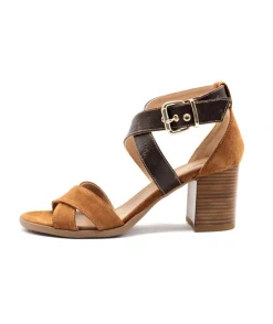 Discount L'Empreinte Chaussures NEROGIARDINI 15560 TABAC