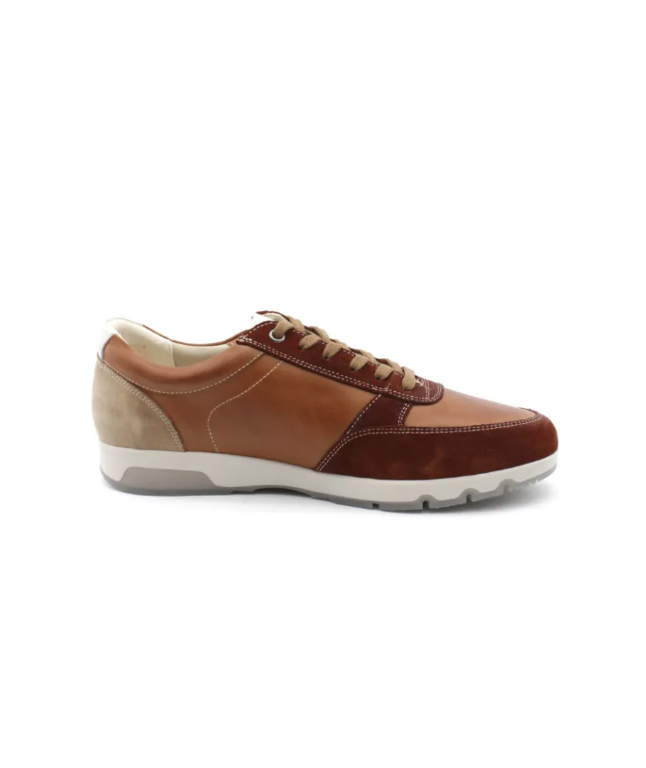 Cheap L'Empreinte Chaussures PIKOLINOS ALARCON M9T-6163C3 brandy