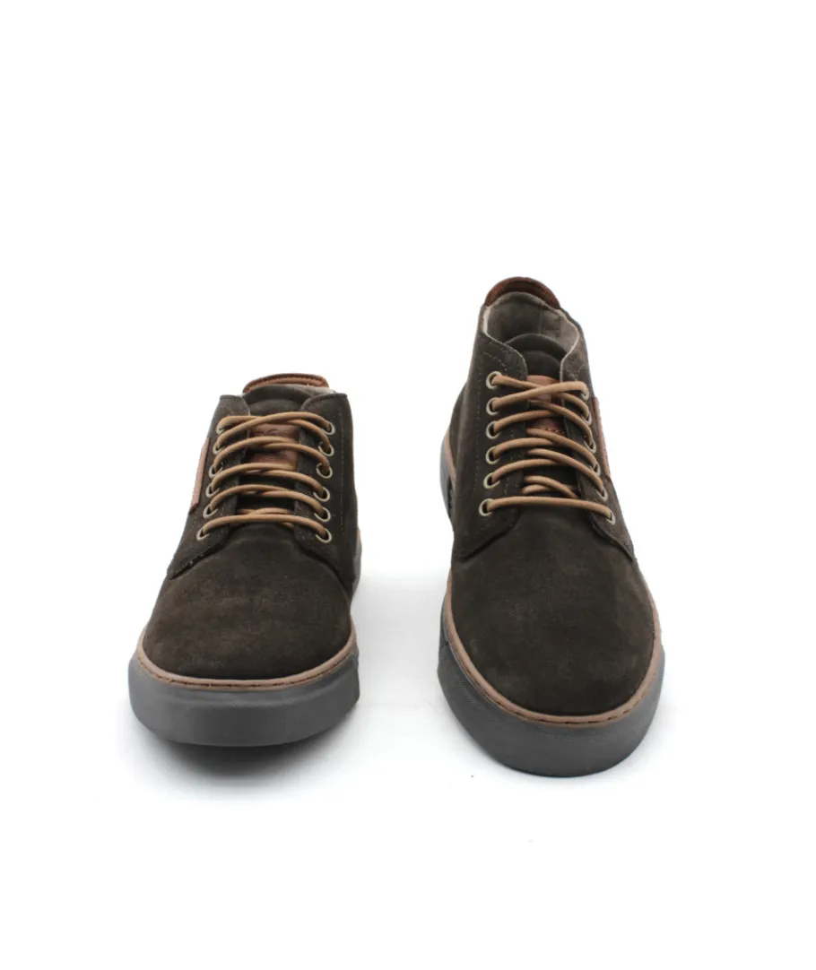 Discount L'Empreinte Chaussures PIUS GABOR 0460.11.14 marron