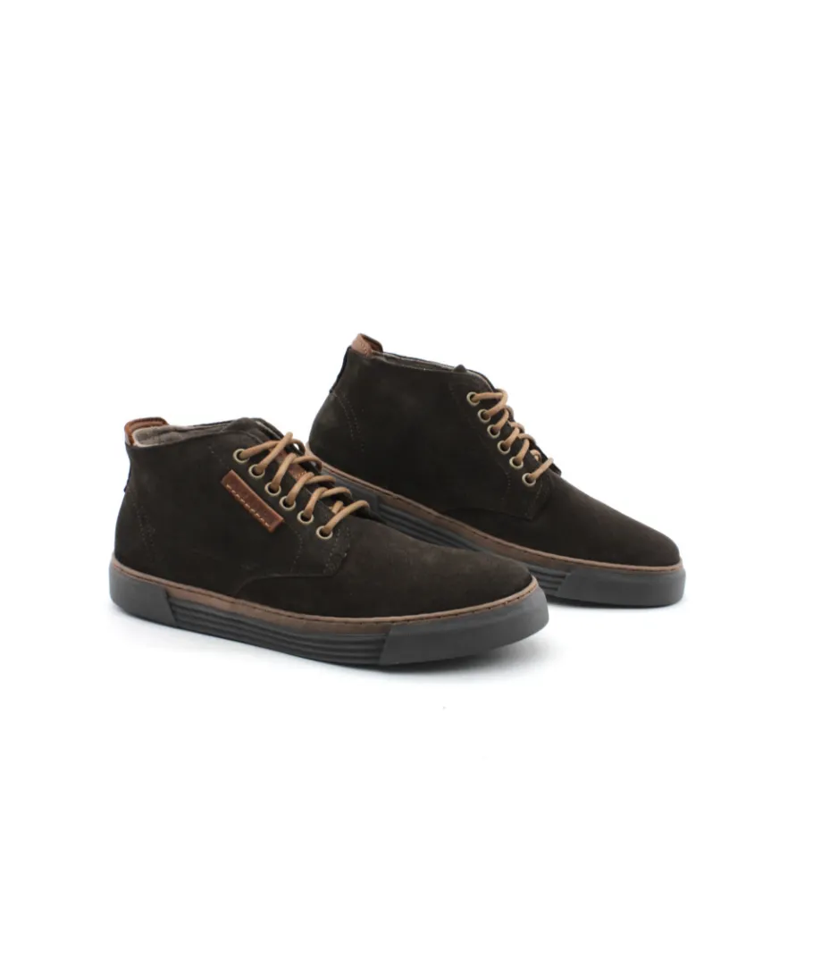 Discount L'Empreinte Chaussures PIUS GABOR 0460.11.14 marron