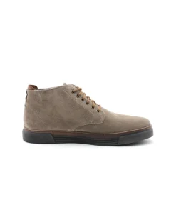Sale L'Empreinte Chaussures PIUS GABOR 0460.11.16 taupe