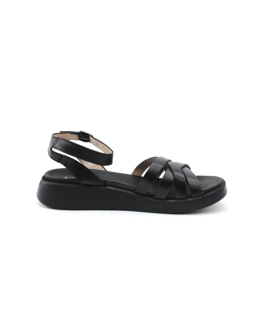 Online L'Empreinte Chaussures WONDERS C6521 noir